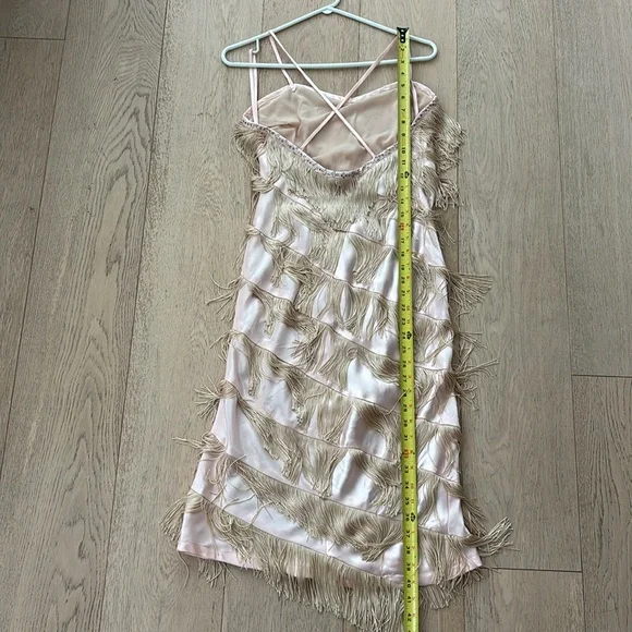 Vintage Fringe Flapper Girl Dress - Picture 10 of 14
